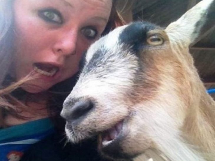 Селфи с сюрпризом: 20 забавных фото с животными