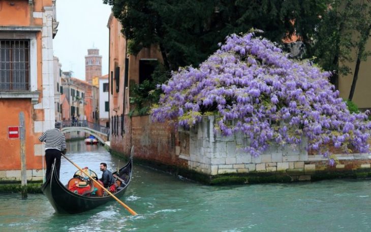 venetsiya-canal-gondola