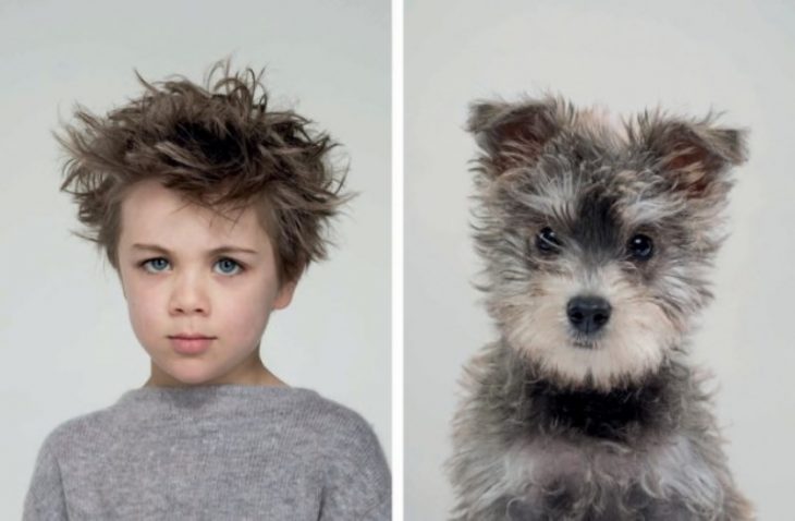 Поразительное сходство собак с их владельцами: 20 фото
