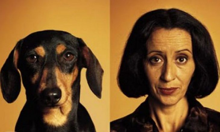 Поразительное сходство собак с их владельцами: 20 фото