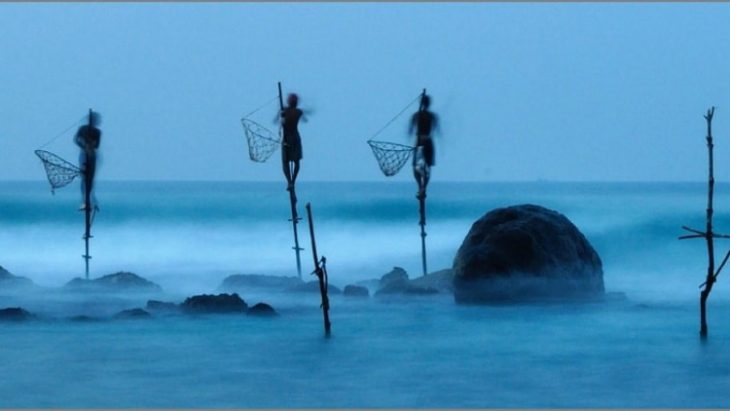 Рыбаки на сваях, Шри-Ланка